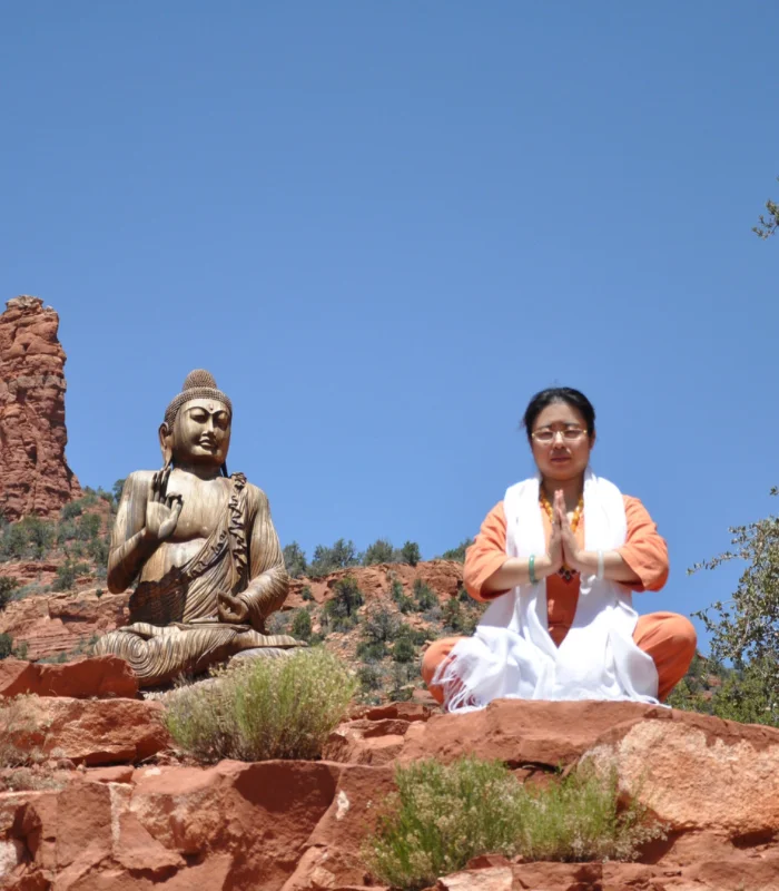 Master of Cosmic Energy Channeling, Meta-Universe Prediction, & Subconscious Mind Development