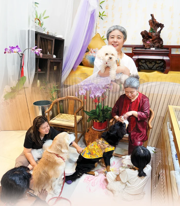 Pets & Animal Well-Being