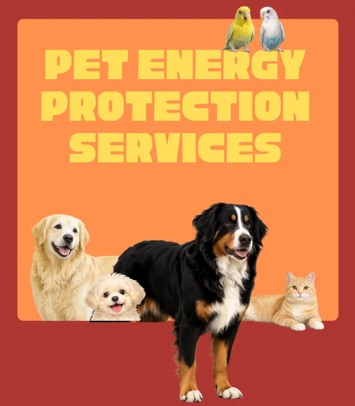 Pets & Animal Well-Being