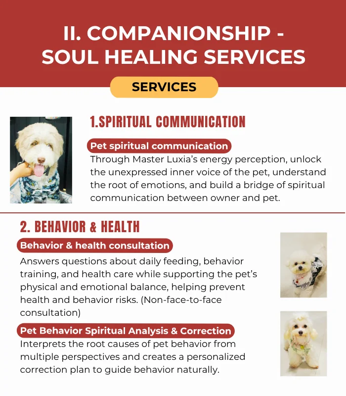 Pets & Animal Well-Being