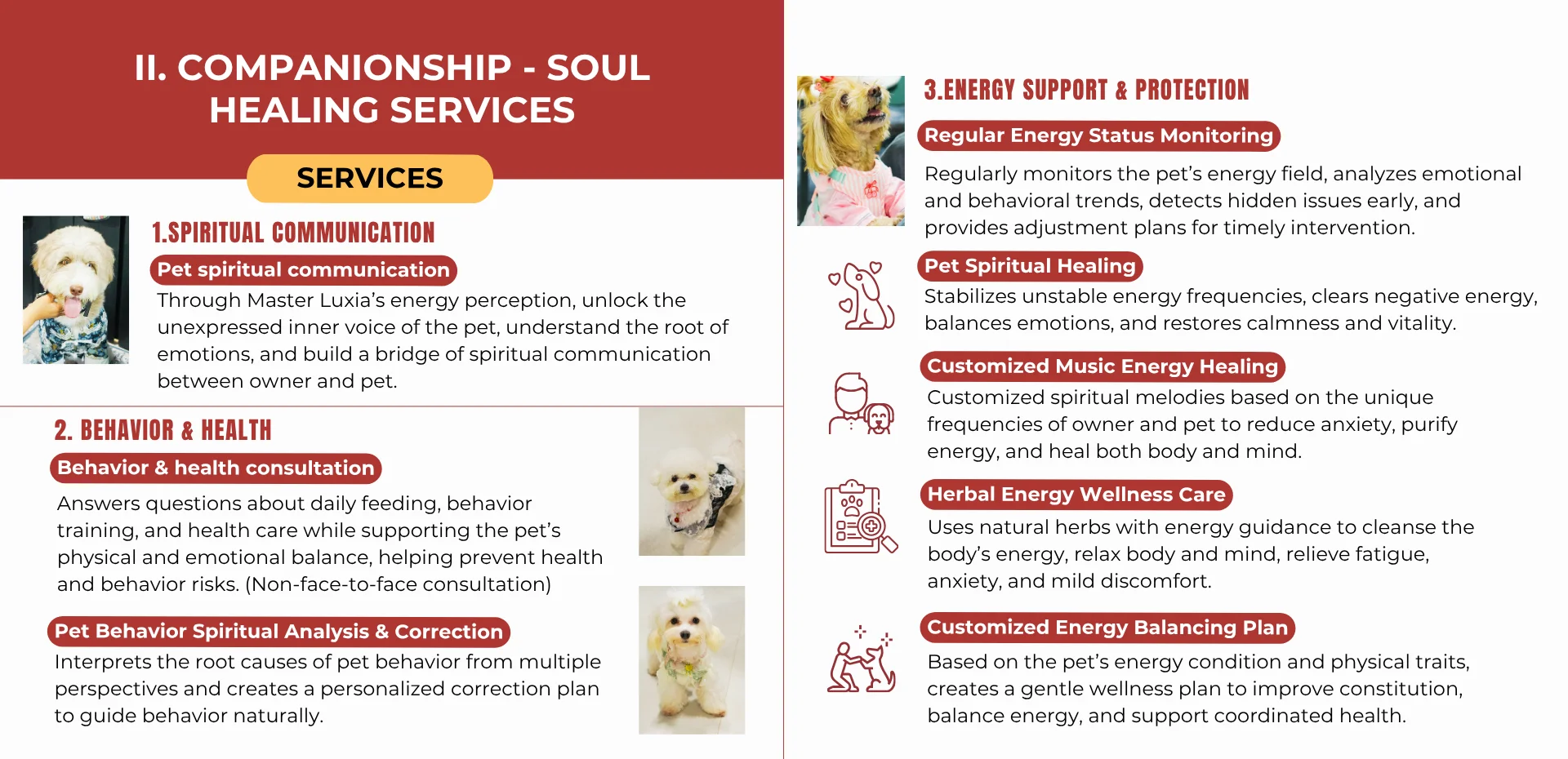 Pets & Animal Well-Being